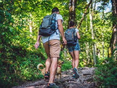Ecoturismo en la Patagonia: 5 destinos imperdibles para conectar con la naturaleza