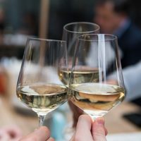 Semillón, otra cepa éxito en Alto Valle