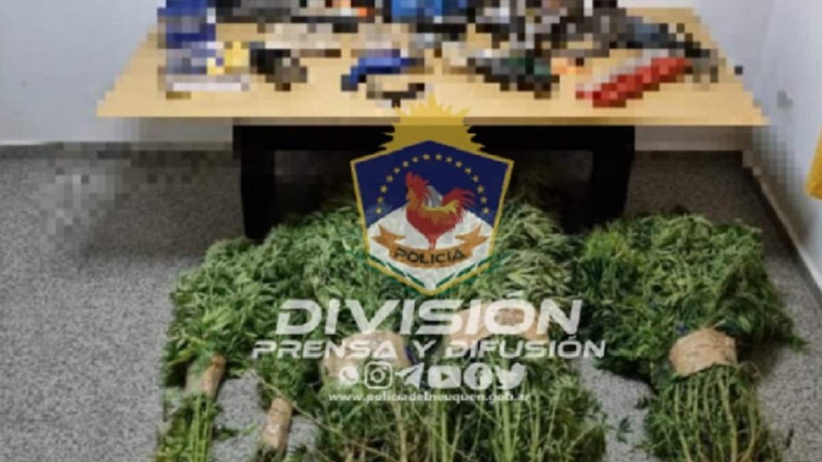 Cinco plantas de marihuana y numerosas herramientas fueron incautadas. Fuente: (Policía Neuquén)