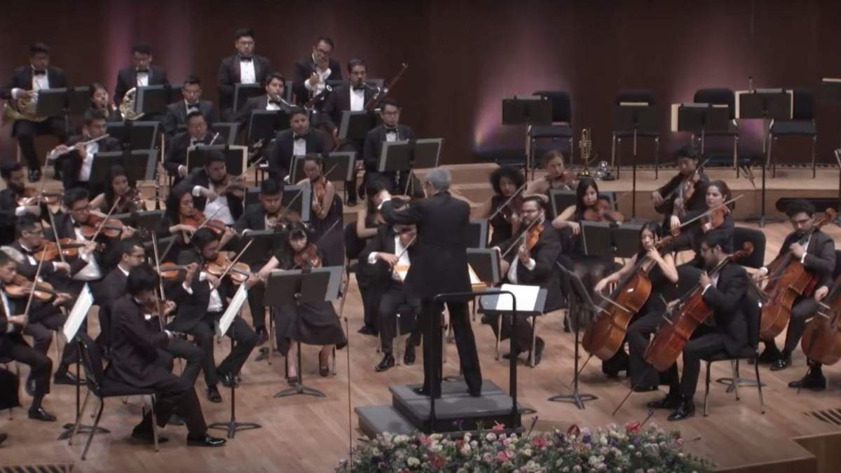Ciclos Sinfónicos, en la UNAM