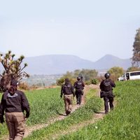 Por los caminos de la ordeña…