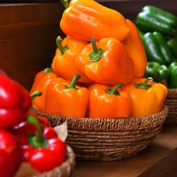 No gastés más: el secreto para cultivar tus morrones o ajíes en una maceta sin comprar semillas