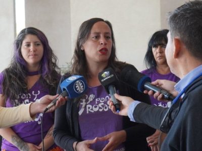 Presentaron otra vez el Plan de Emergencia contra la violencia hacia las mujeres