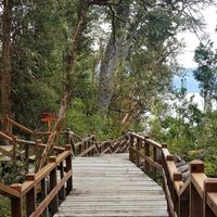 Parques Nacionales: presentaron un protocolo para poder recibir al público