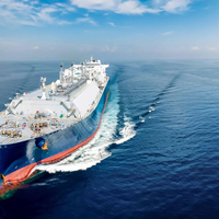 Vaca Muerta encuentra salida al Atlántico: claves del proyecto Argentina LNG en Río Negro