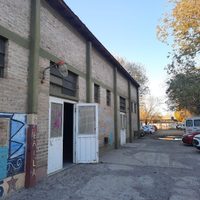 Suspenden clases en la Escuela 294 por la presencia de roedores