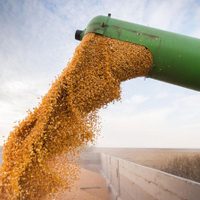 Granos: la próxima cosecha podría alcanzar los 36 mil millones de dólares