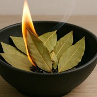 Ritual exprés para empezar septiembre: quemar una hoja de laurel puede abrirte las puertas de la abundancia
