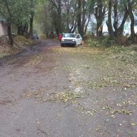 Talamontes asesinan a tres guardabosques en Puebla