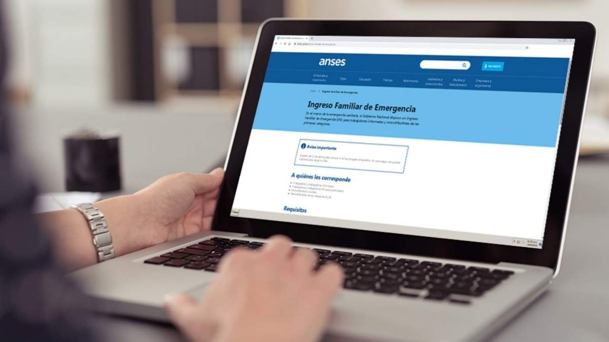 Consulta del IFE en la página web de la ANSES. Fuente: (Twitter)