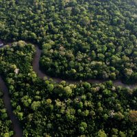 La Amazonía vuelve a estar en una situación de sequía grave, y antes de lo esperado