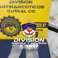 La División Antinarcóticos secuestró marihuana y anfetaminas con la ayuda de Polo, el perro policía