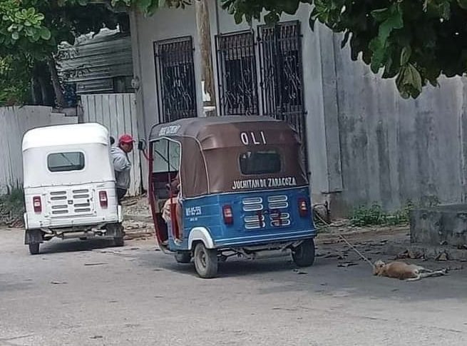 oli