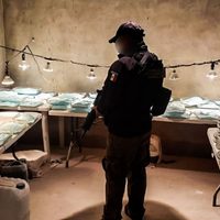 México se está convirtiendo en un "mercado de consumo de fentanilo" : JIFE-ONU