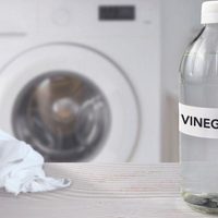 Conocé por qué no es recomendable usar vinagre para lavar o limpiar tus prendas de ropa