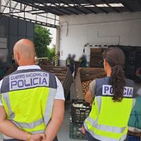 Explotación laboral en España: obligaban a migrantes a pelar cebollas durante 16 horas sin parar