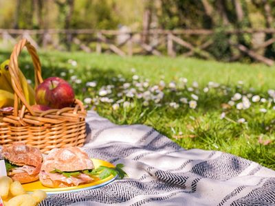Llegó la primavera y también el tiempo de picnics