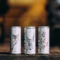 No tires las latas de gaseosa y transformalas en estos maceteros colgantes soñados para tus suculentas
