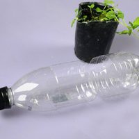 Con una botella plástica y un hisopo, creá esta maceta autorriego para tus plantas y salí de viaje tranquilo