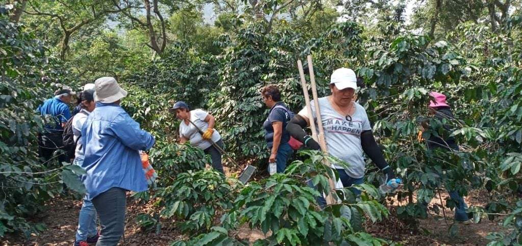 Labores de búsqueda del Colectivo Familia de Desaparecidos Córdoba-Orizaba
