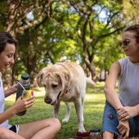 Cuadraditos de coco: sequitos e ideales para el mate, la receta que no vas a parar de hacer