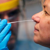 Coronavirus: Neuquén reportó más de 20 nuevos casos y Río Negro más de 25