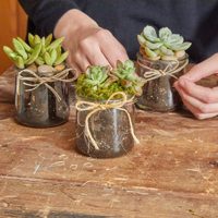 No tires los frascos de café usados y convertilos en estas increíbles macetas minimalistas