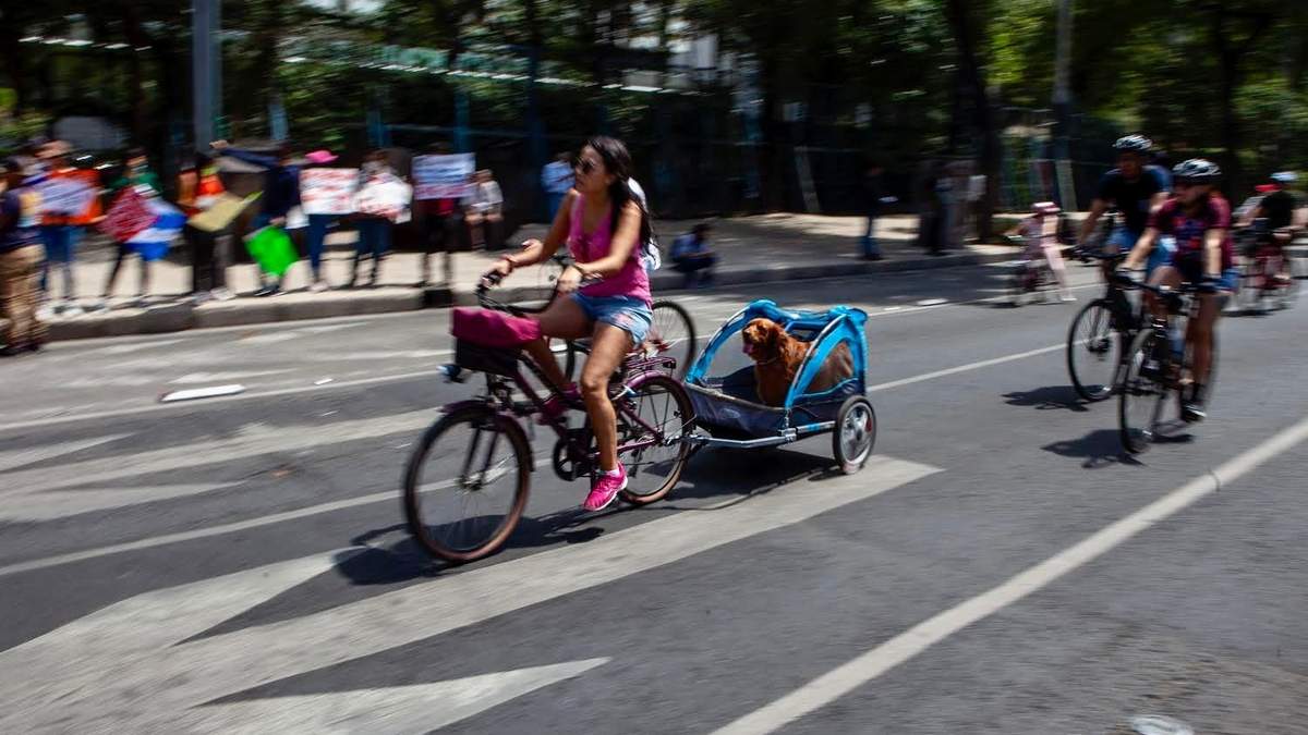Paseo ciclista en la CDMX