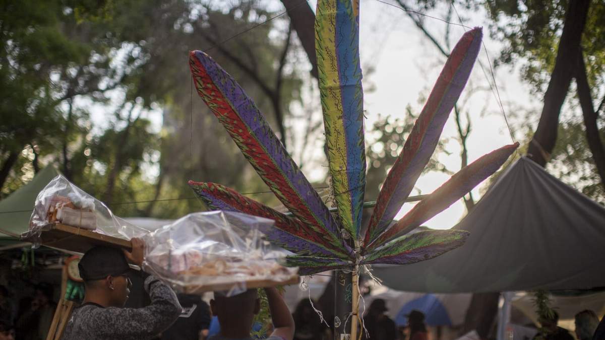 Activistas a favor de la mariguana