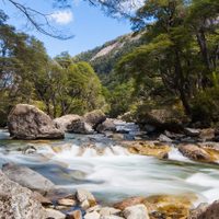 Qué hacer en Neuquén: los rincones más hermosos para visitar durante todo el año
