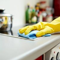 En cuánto quedó el salario de las empleadas domésticas en abril
