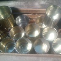 No tires las latas de duraznos vacías, hacé este proyecto 2 en 1 para tus plantas y las llaves de casa