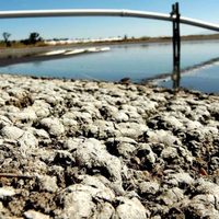 Exigen ONG no criminalizar a defensores del agua que protestan contra Granjas Carroll