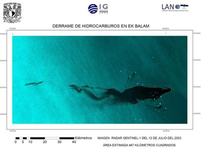 Derrame en el Golfo se originó en ducto de Pemex; se sabía desde febrero: organizaciones ambientales