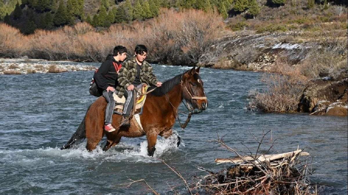 Los jóvenes cruzaban a caballo cuando cayeron al río. Fuente: (Diario RN)