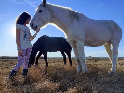 Se realizará un taller de terapias asistidas con caballos en San Martín de los Andes