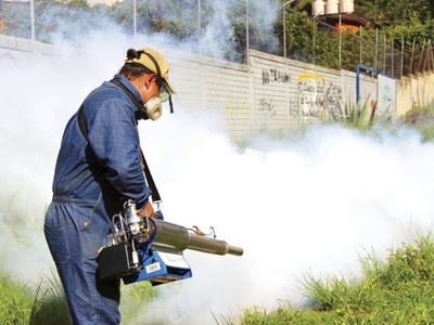 Como si no fuera suficiente con el coronavirus, en México se multiplicaron los casos de dengue