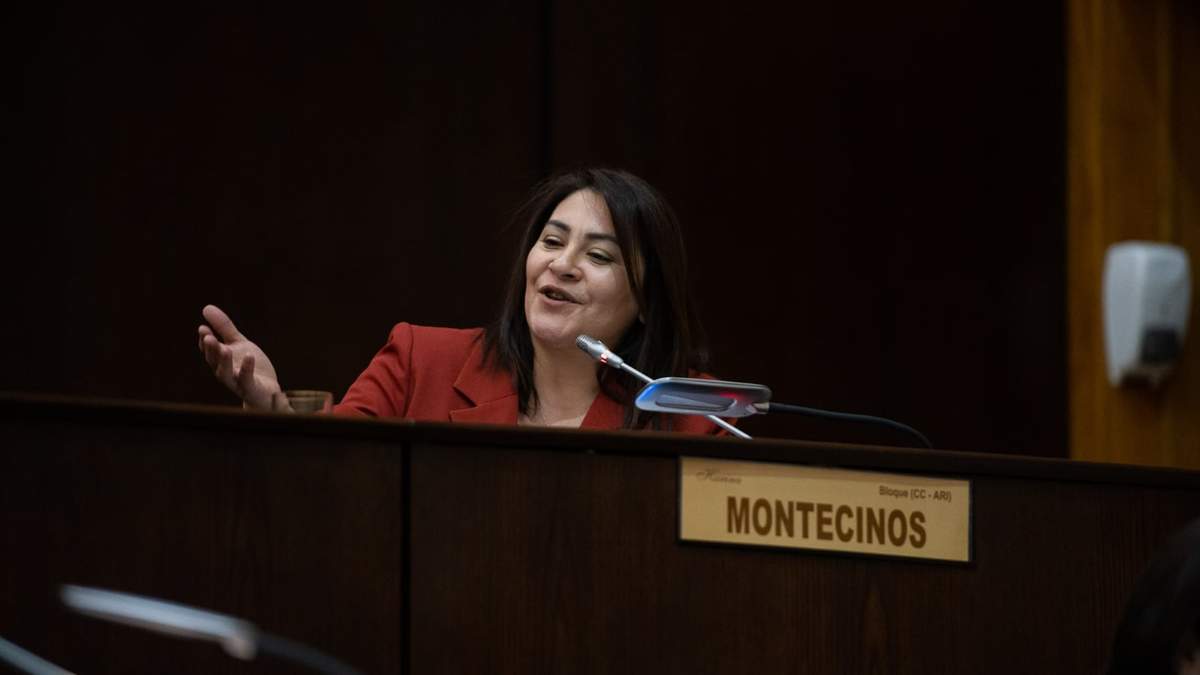 Karina Montecinos se involucrará con la Línea 148. Fuente: (Facebook)