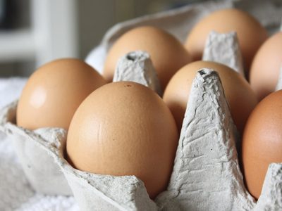 No tires los maples de huevos y mirá cómo usarlos para tener una huerta de revista en poco espacio