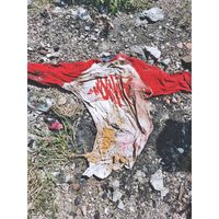 Guanajuato: mentiras oficiales, fosas clandestinas y muchos muertos