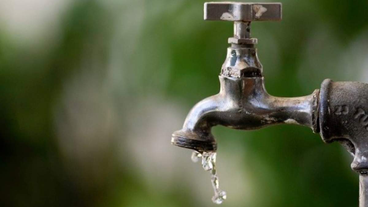 Grifo de agua. Fuente: (X).