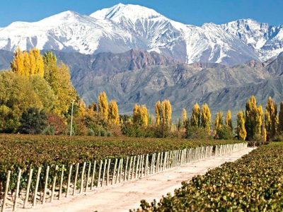 Buen vino y montañas: te invitamos a conocer el Valle de Uco en Mendoza