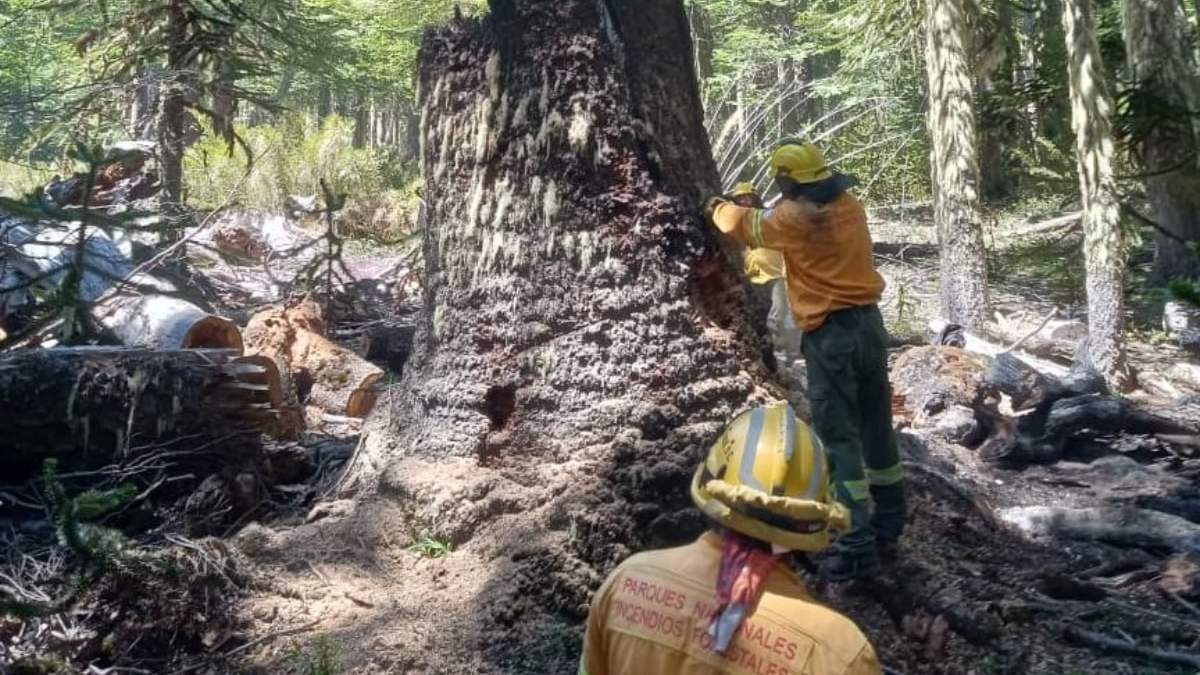 Brigadistas terminan los trabajos de extinción del incencio. Fuente: (Facebook)