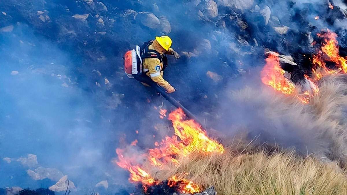 La mayoría de los incendios forestales son intencionados