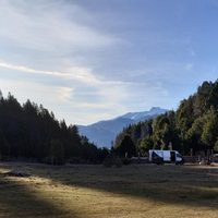 Denuncian a funcionarios de Parques Nacionales por tala clandestina de especies protegidas