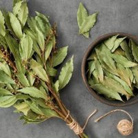 Beneficios del té de laurel en ayunas: 11 razones científicas para incluir esta infusión en tu rutina diaria