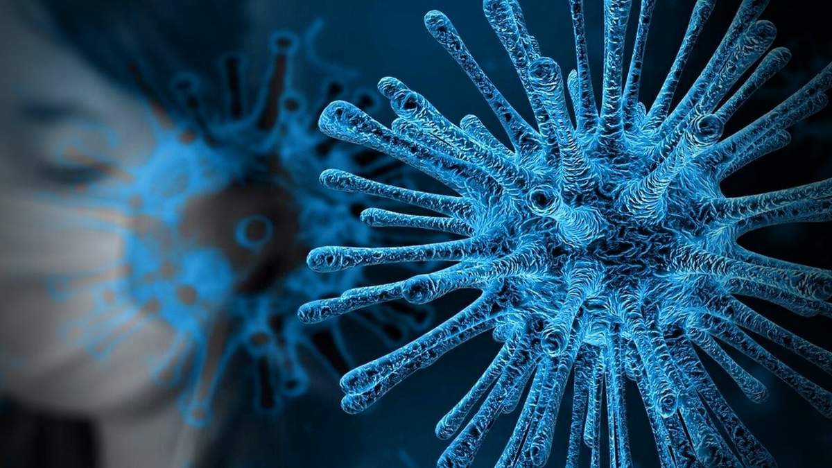 Coronavirus. Fuente: (Instagram)