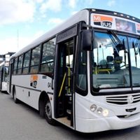 ¡Sorpresivo! No funcionan los colectivos en Bariloche