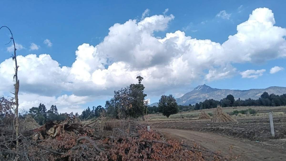 Paraje en la montaña La Malinche