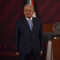 Ya hay un detenido por el asesinato de la madre buscadora Teresa Magueyal: AMLO